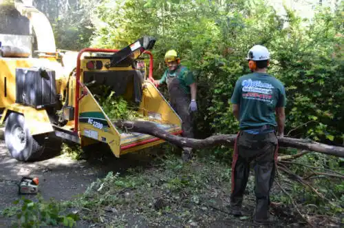 tree services Westmont